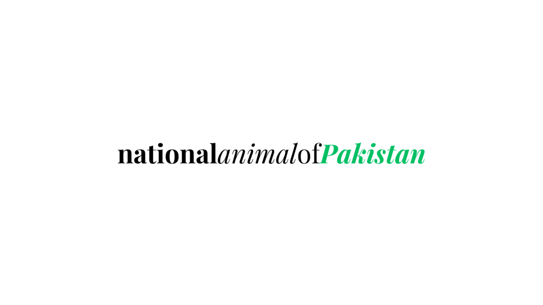 nationalanimalofPakistana