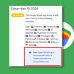 google wallet launch new
