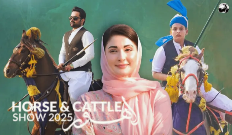 Reviving Culture: Lahore’s Horse and Cattle Show Returns After 30 Years with Global Participation