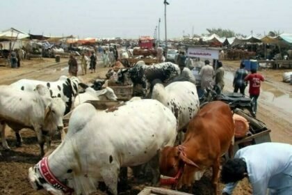 Eid ul Adha