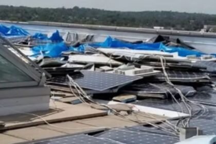 solar panels
