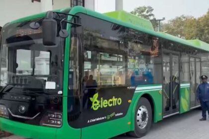 Bus