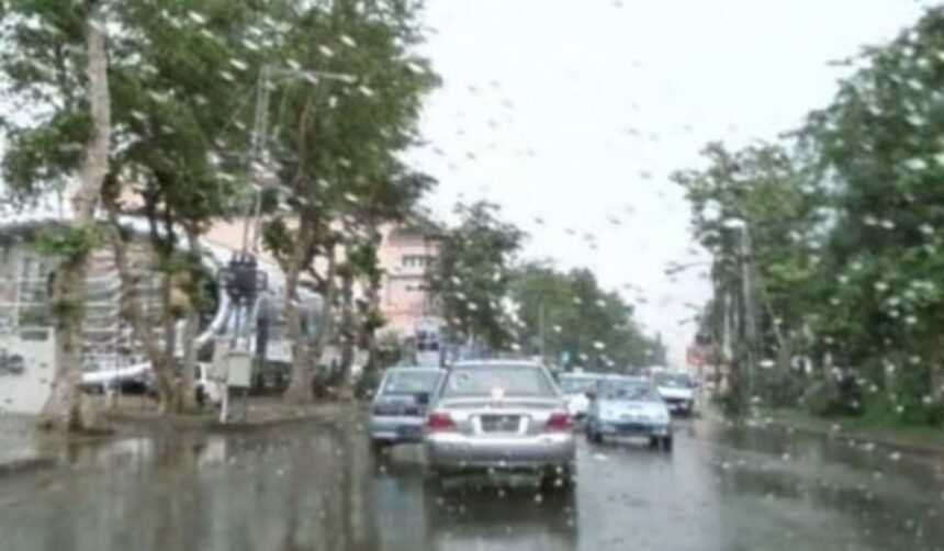 Weather