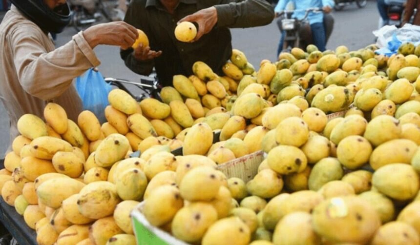 Mango