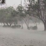 Weather