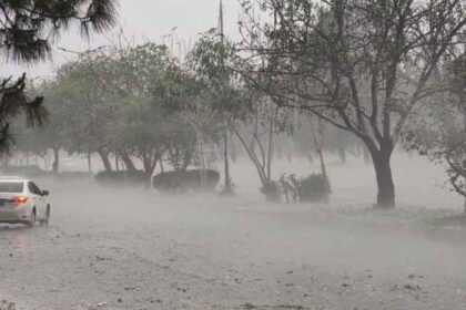 Weather