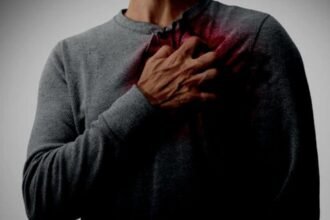 Heart