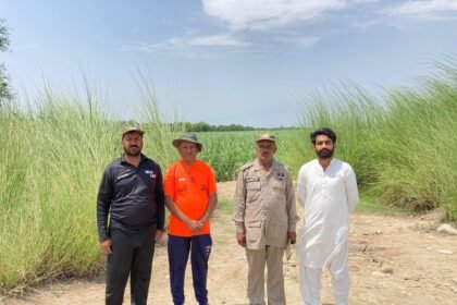 wali-bukhari-kotadu-wildlife-operation