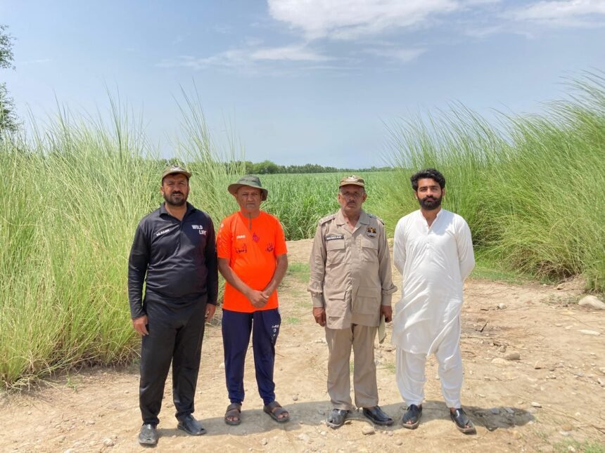 wali-bukhari-kotadu-wildlife-operation