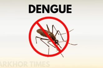 Dengue Outbreak Worsens in Sindh