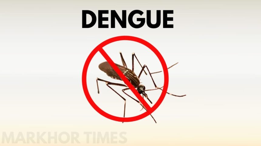Dengue Outbreak Worsens in Sindh