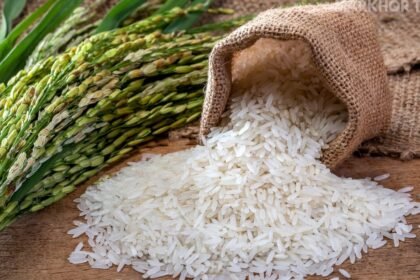Pakistan Offers 100,000 Tonnes of Rice to Bangladesh