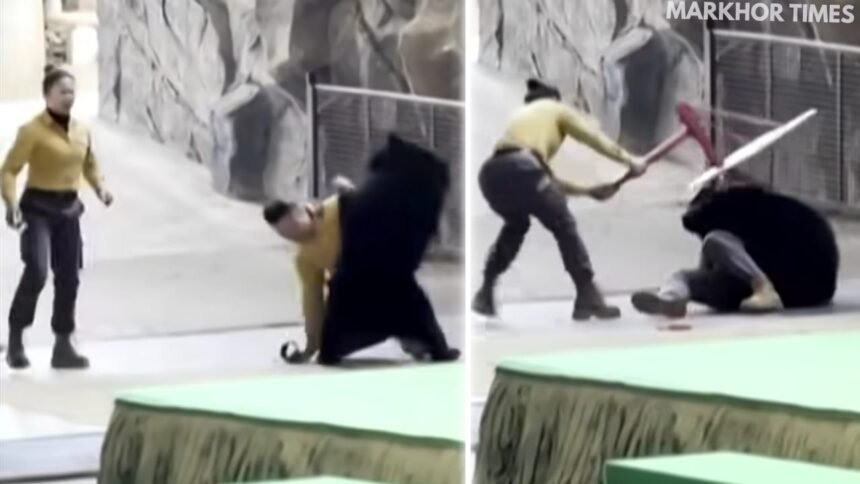 Bear Attacks Keeper During Zoo Show in China