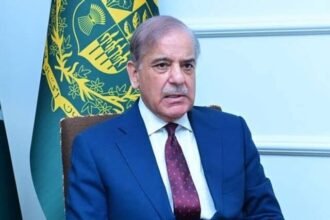 PM Thanks Overseas Pakistanis for Record Remittances in December