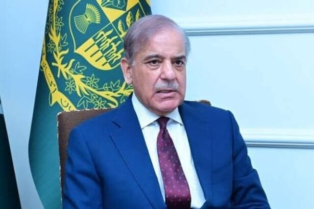 PM Thanks Overseas Pakistanis for Record Remittances in December