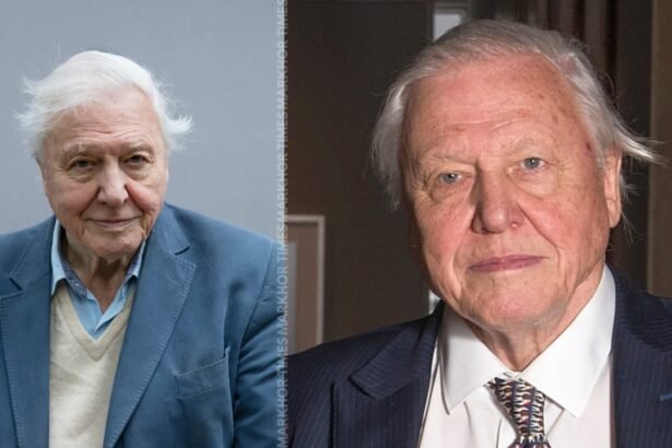 A Century of Sir David Attenborough BBC Plans Grand Tribute