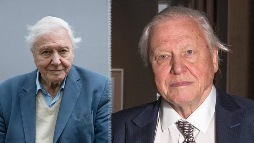 A Century of Sir David Attenborough BBC Plans Grand Tribute