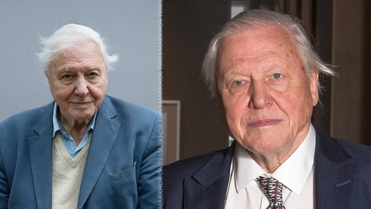 A Century of Sir David Attenborough BBC Plans Grand Tribute