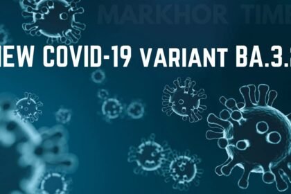 New COVID Variant BA.3.2 ‘Cicada’ Spreads in US