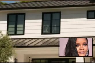 Woman Charged After Shooting Incident at Rihanna’s Beverly Hills Mansion