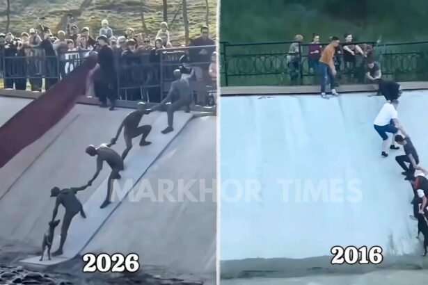 Almaty Unveils Sculpture Honoring Viral Dog Rescue, Celebrating Unity and Humanity