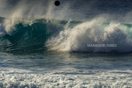 Japan Earthquake 2026: Powerful 7.7 Magnitude Quake Triggers Tsunami Alerts