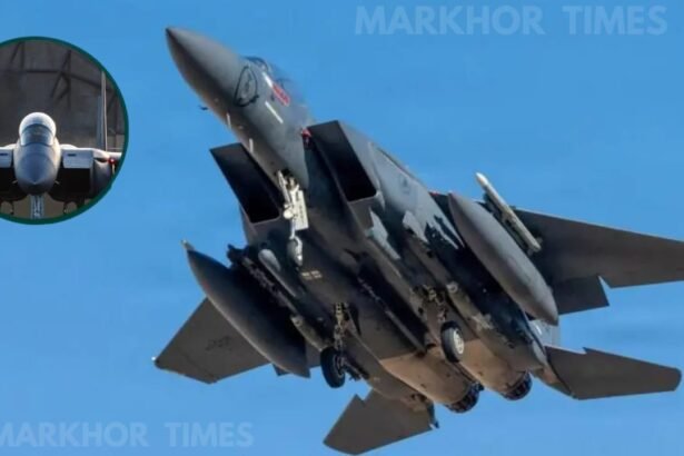 US Airman Missing After F-15E Strike Eagle Shot Down in Iran