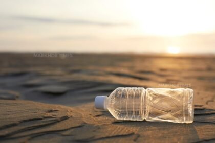 Scientists Create “Living Plastic” That Can Destroy Itself Naturally