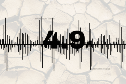 4.9 Magnitude Earthquake Shakes Lahore, No Damage Reported