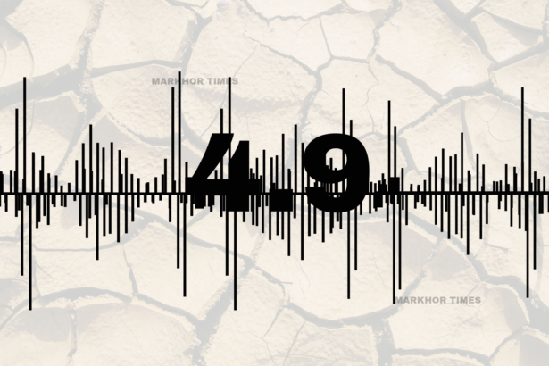 4.9 Magnitude Earthquake Shakes Lahore, No Damage Reported