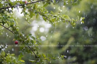 How to Stay Safe and Healthy During the Monsoon