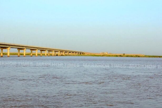 Punjab Flood Alert as Chenab River Water Levels Rise