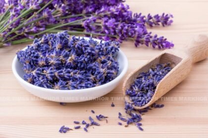 Top Health Benefits of Herbs for a Healthier Life