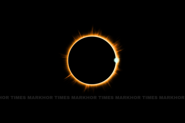 Solar Eclipse Eye Damage: Causes, Symptoms and Safety